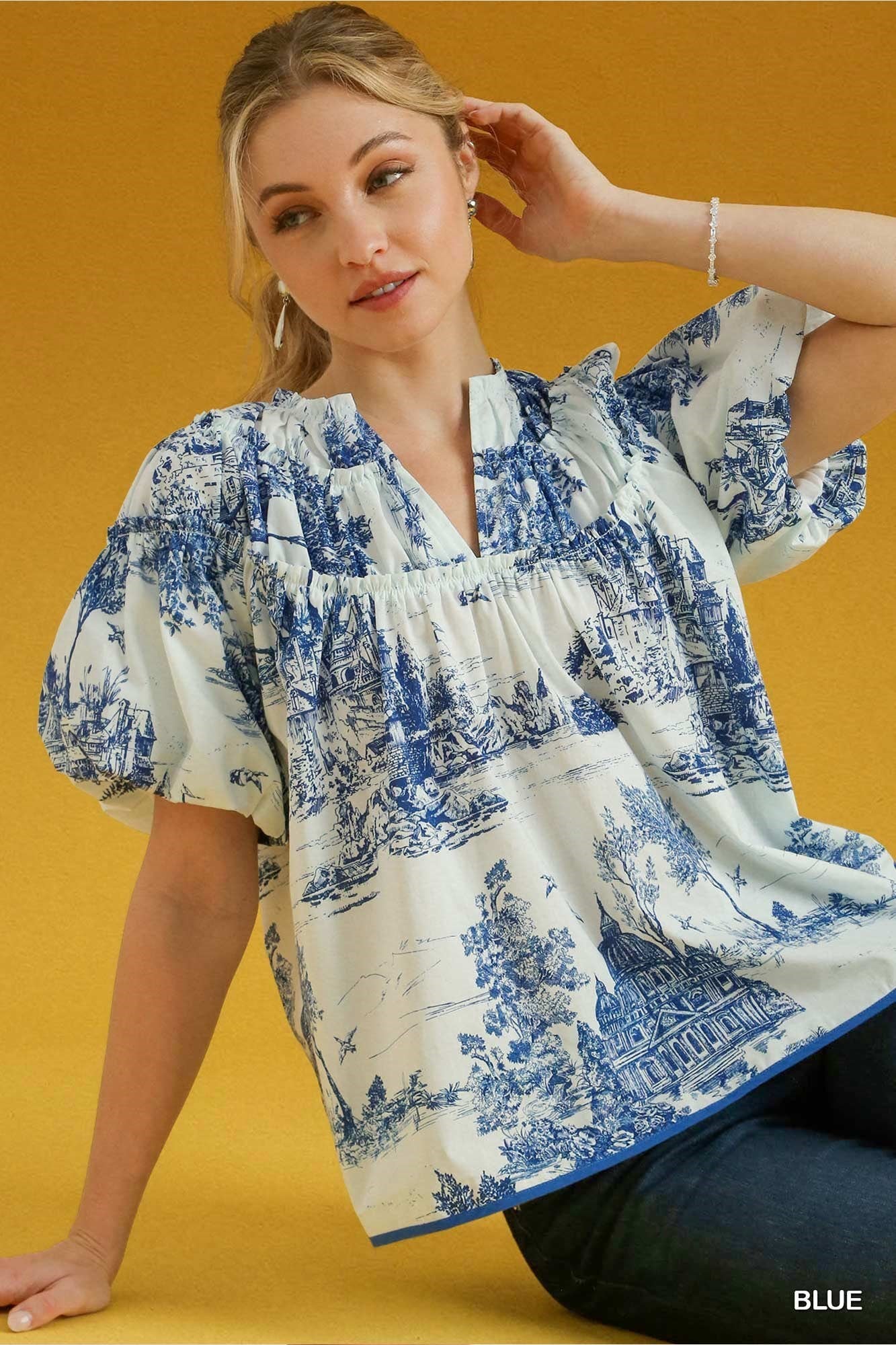 Toile V Neck Flounce Blouse