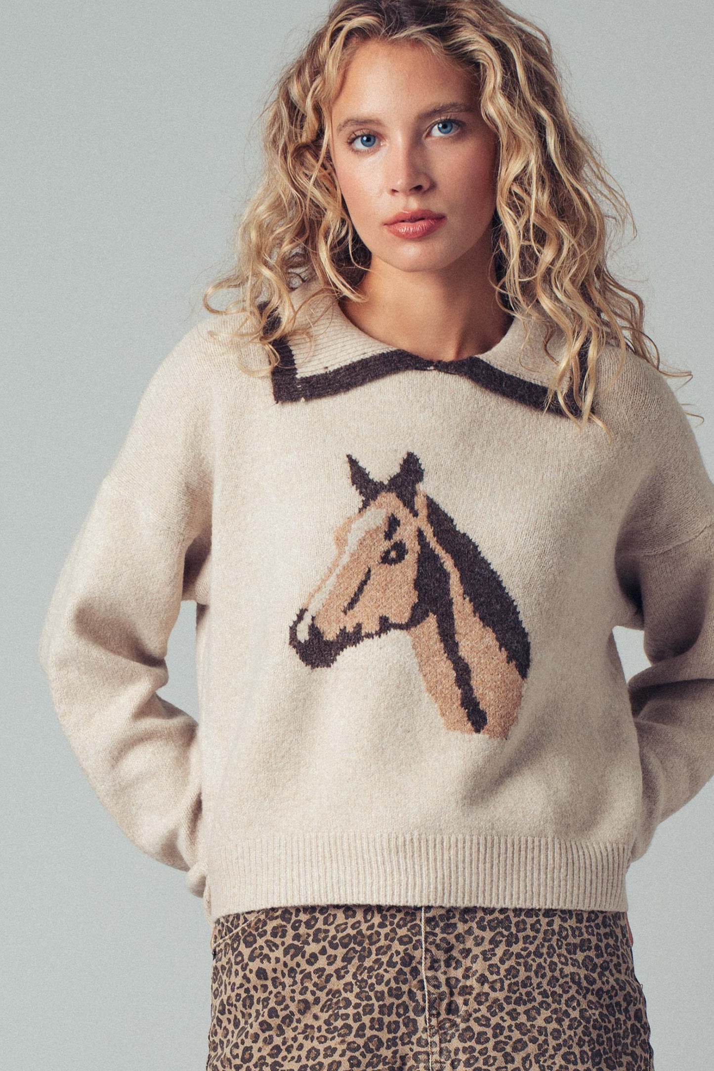 Horse Graphic Knit Sweater